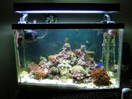 Ho T5 Aquarium Light Fixture With 1x Ho T5 Bulb 11000k Day Freshwater Fish Plant