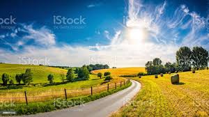 Foto De Paisagem De Verao Linda Com A Luz Do Sol E Mais Fotos De Stock De Paisagem Cena Nao Urbana Istock