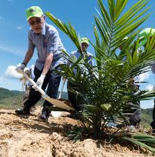Kelapa sawit afrika, elaeis guineensis, berasal dari afrika barat di antara angola dan gambia, manakala kelapa sawit amerika, elaeis oleifera. Ladang Kelapa Sawit Tdm Aplikasi Teknologi Gis Dan Uav Kosmo Digital