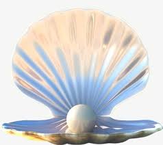 Check spelling or type a new query. Pearl Shell Kitsch Art Ocean Painting Shell Pearl