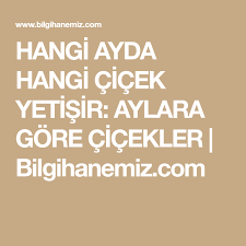 Limon fidanı genelde tüplü olarak üretilen bir meyve fidanıdır.tüplü limon fidanlarında yılın 12 ayı boyunca dikilebilmektedir.burada limon saksısı ne zaman değiştirilir? Hangi Ayda Hangi Cicek Yetisir Aylara Gore Cicekler Bilgihanemiz Com Cicek Bitki Meyve