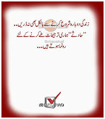 A Clean House Is A Sign Of A Wasted Life Meaning Pin By Shakeel Furqan On Beautyfull Word Urdu Words Photo Quotes Urdu Quotes