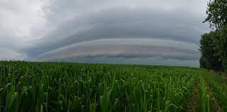 Stay prepared with the weather channel. Severe Weather Prompts Tornado Warnings For Parts Of Southern Ontario Citynews Toronto