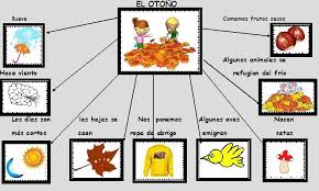 Esos Locos Bajitos De Infantil Mapa Conceptual De Otono Otono Proyectos De Otono Manualidades Otono