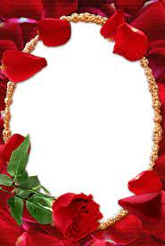 Rose Transparent Frame Png 1205 1795 Boarders And Frames Borders And Frames Red Roses