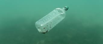 Decline the option for a plastic bag when your items are easy to carry. A Circular Economy Solution To Our Marine Plastic Waste Problem World Economic Forum