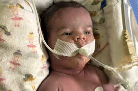 Fundraiser for Elizabeth Hackney by Heather Nadeau : Support Elizabeth and  Chris After Tragic Loss