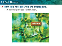 Check spelling or type a new query. Unit 3 Cell Membranes Diffusion And Osmosis