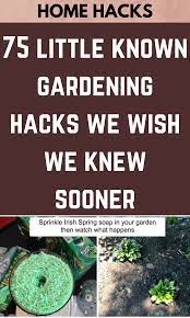 75 Little Known Gardening Hacks We Wish We Knew Sooner Life Hacks Home Life Hacks Food Home Hacks