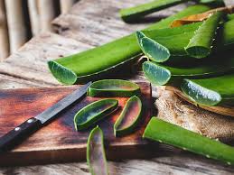 Here's 10 of the best. Aloe Vera 8 Health Benefits