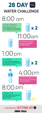 How To Start A 28 Day Water Challenge The Rules Water Challenge Water Diet Drinking Water