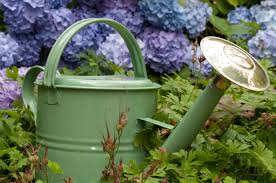 Pin Auf Garten Garden