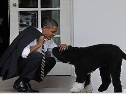 Bipartisan infrastructure deal omits major climate change measures. Obama Zu Seinen Tochtern Noch Einen Hund Gibt Es Nicht Usa Wahlen 2012 Vol At