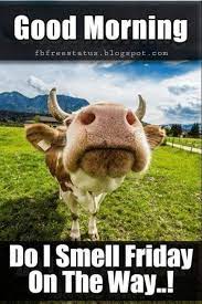 See more ideas about thursday quotes, funny thursday quotes, happy thursday quotes. Happy Thursday Quotes To Be Happy On Thursday Morning