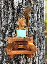Squirrel Picnic Table Squirrel Feeder Outdoor Feeder Etsy In 2020 Squirrel Feeder Diy Bird Feeder Picnic Table
