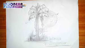 Perhatikan gambar di bawah ini. Belajar Menggambar Pohon Pisang Di Balik Cahaya Bulan Youtube
