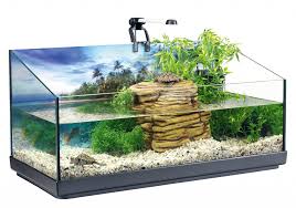 Pin Op Schildpad