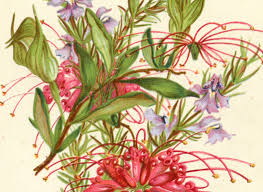 Maybe you would like to learn more about one of these? The Scott Sisters Collection Of Scientific Illustrations