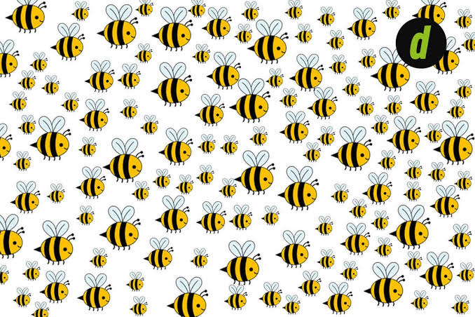 Acertijo lógico | ¿Puedes hallar a la abeja diferente al resto en la  imagen? Casi nadie ha superado este reto viral | Acertijo visual | Prueba  visual | MEXICO | DEPOR