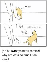 25 Best Memes About Pet Me With Your Eyes Pet Me With Your Eyes Memes