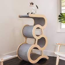 Pin On Cats