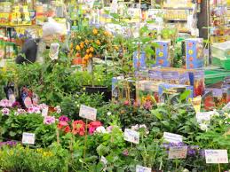 Order within 8 hours 45 minutes for same day delivery! 14 Absolute Best Things To Do In Frankfurt