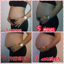 Gravidez Mes A Mes Tamy Bernardo Youtube
