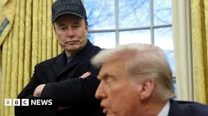 Yep, Elon Musk's obsession with the UK reaches a new degree of micro, as he  takes issue with Isle of Wight and Portsmouth Hospitals University NHS  Trusts internally recruiting an EDI project