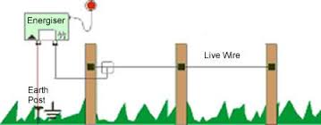 Begin by plugging in your transmitter in a safe location, such as a. What Is A Great Electric Fence Get Yours Here Agrisellex