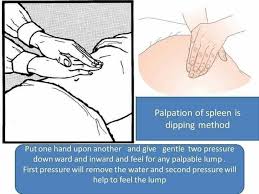 Image result for Fluid Wave Test