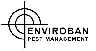 Post or read unbiased customer reviews and recommendations about local pest control companies. The 7 Best Pest Control Christchurch Handlers 2021