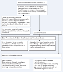 Lichen Sclerosus Im Urogenitalbereich Springerlink
