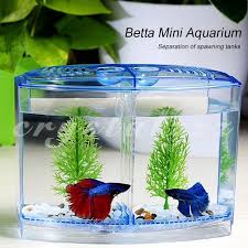 You'll want to replace roughly 25% of the water once a month. Cr Partition Spawning Box Aquarium Goldfish Odorless Betta Fish Tank Ornament Environmental Shopee Indonesia