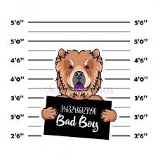 mugshot height chart stock vectors royalty free mugshot