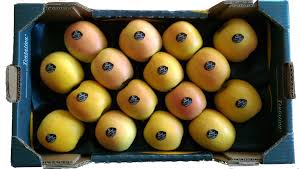 Tentation Metral Fruits