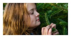 El hotel de sal Luna Salada