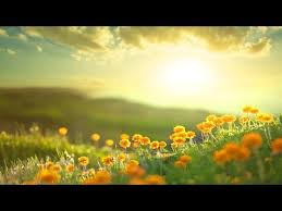 Ocb Relax On Social Media Facebook Https X2f X2f Www Facebook Com X2f Ocbrelax Twitter Https X2 Relaxing Music Morning Meditation Feeling Positive