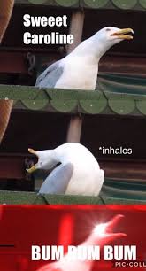 Old School Funny Animal Memes Funny Animal Quotes Funny Relatable Memes