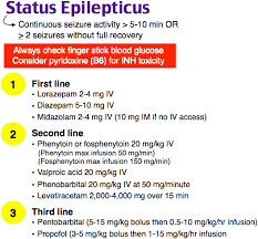 Image result for Status Epilepticus