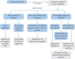 Image result for Musculoskeletal Manipulation