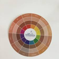 Flesh Tone Color Wheel In 2019 Skin Color Palette Colors