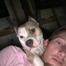 Who recommends land clearing services in Hog Valley?