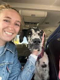 No kill shelter for black abandoned puppy