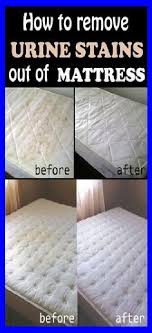 How To Get Rid Of Urine Smell And Stains From Mattress And Carpet In 2020 Mattress Cleaning Urine Stains Mattress