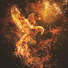 Image result for Phoenix