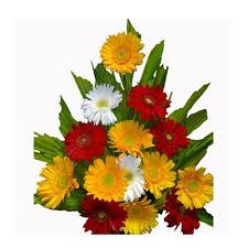 Whether you're looking to buy flowers and gifts like roses , orchids, gift baskets, bonsai trees, flowering plants or wedding bouquets, we have the highest quality blooms and the. Buy New Flower Bunches Flower Bouquet Meadow Spring 1 Pc Online At Best Price Bigbasket