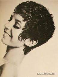 1969 Cropped Curls Hairstyle Hairstyle Gallery Curled Hairstyles Curly Hair Styles Crop Hair
