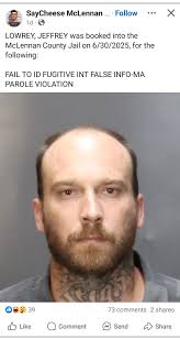 Does anyone recognize this lost cat?