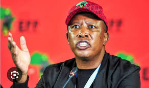 🚨 Malema vs Mkhwanazi! EFF leader Julius Malema says Lt-Gen Nhlanhla  Mkhwanazi's testimony before Parliament is invalid because his statement  was not formally submitted. #EFF #Malema #Mkhwanazi #Politics #News  #fblifestyle