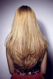Long Layered Haircuts Back View Long Layered Hair Long Hair Styles Thick Hair Styles